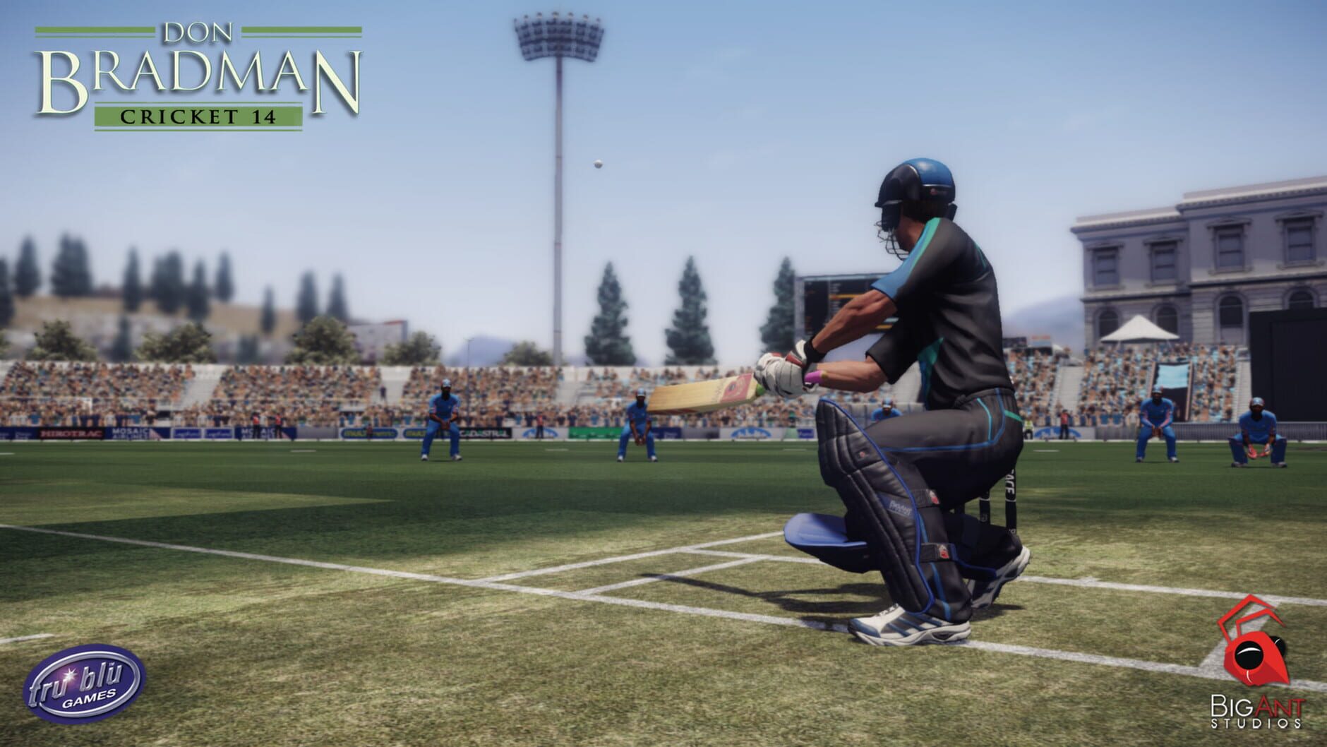 Screenshot for Don Bradman Cricket 14
