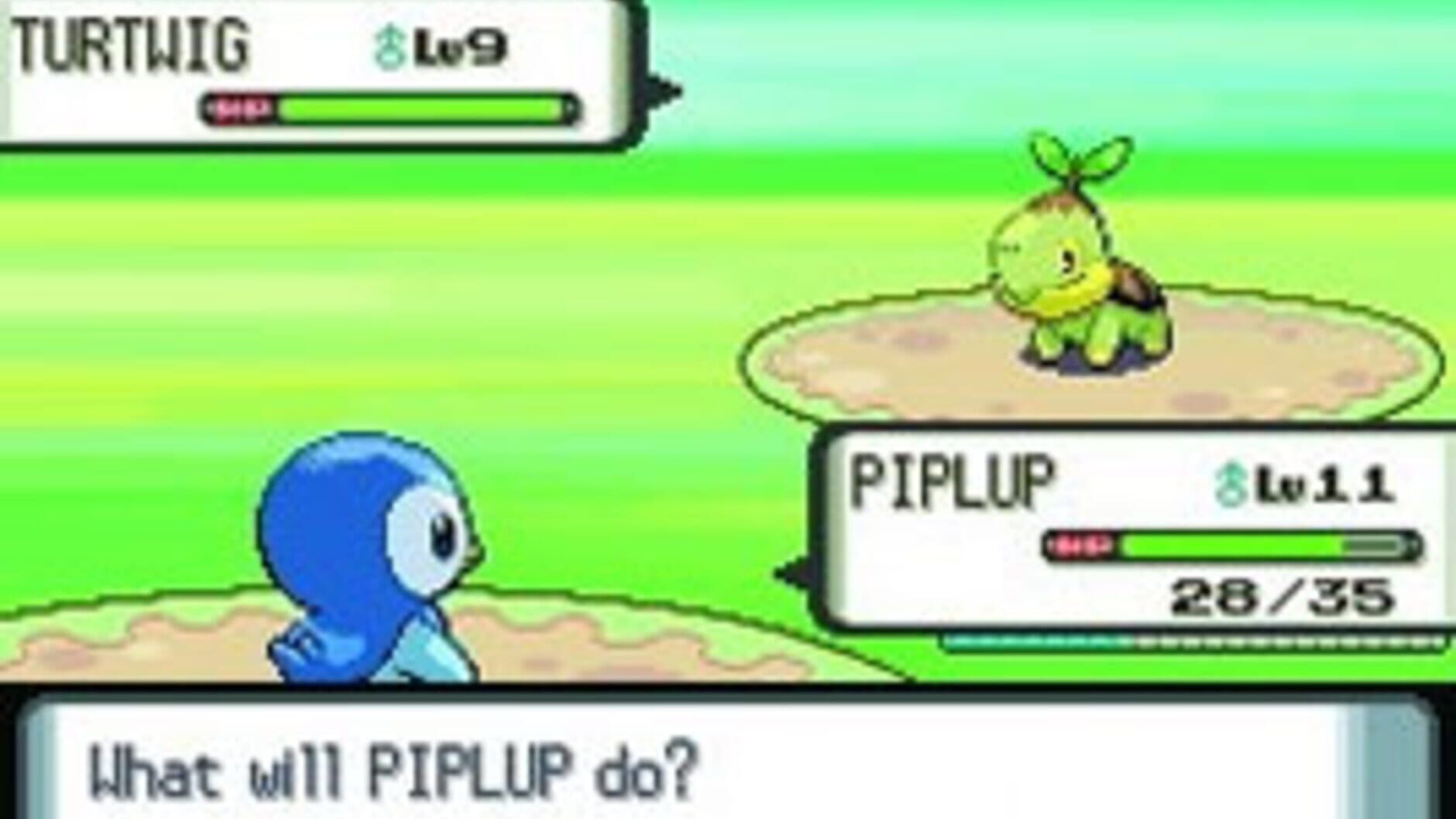 Screenshot for Pokémon Diamond Version