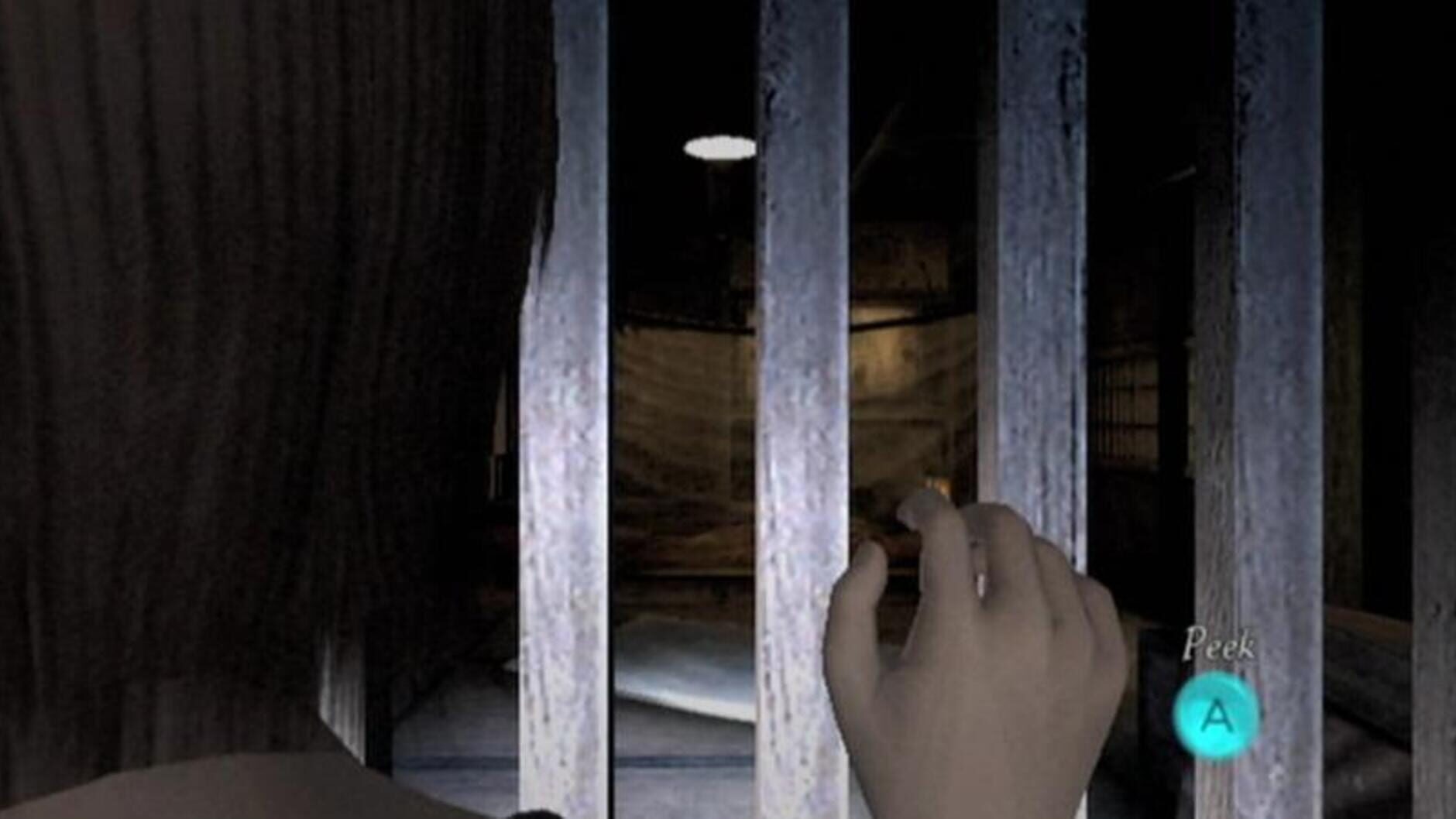 Screenshot for Project Zero 2: Wii Edition