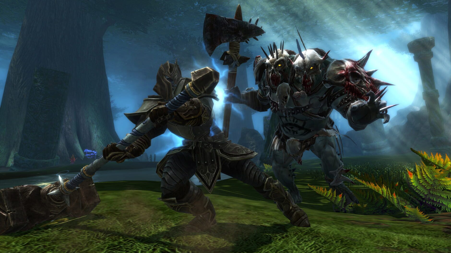 Screenshot for Kingdoms of Amalur: Reckoning