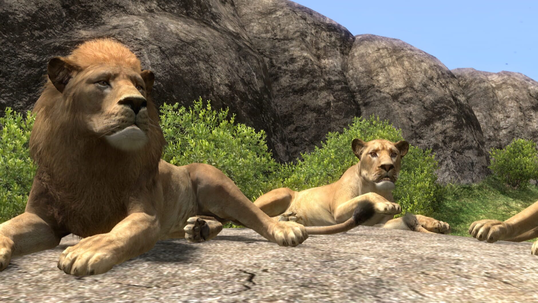 Screenshot for Afrika