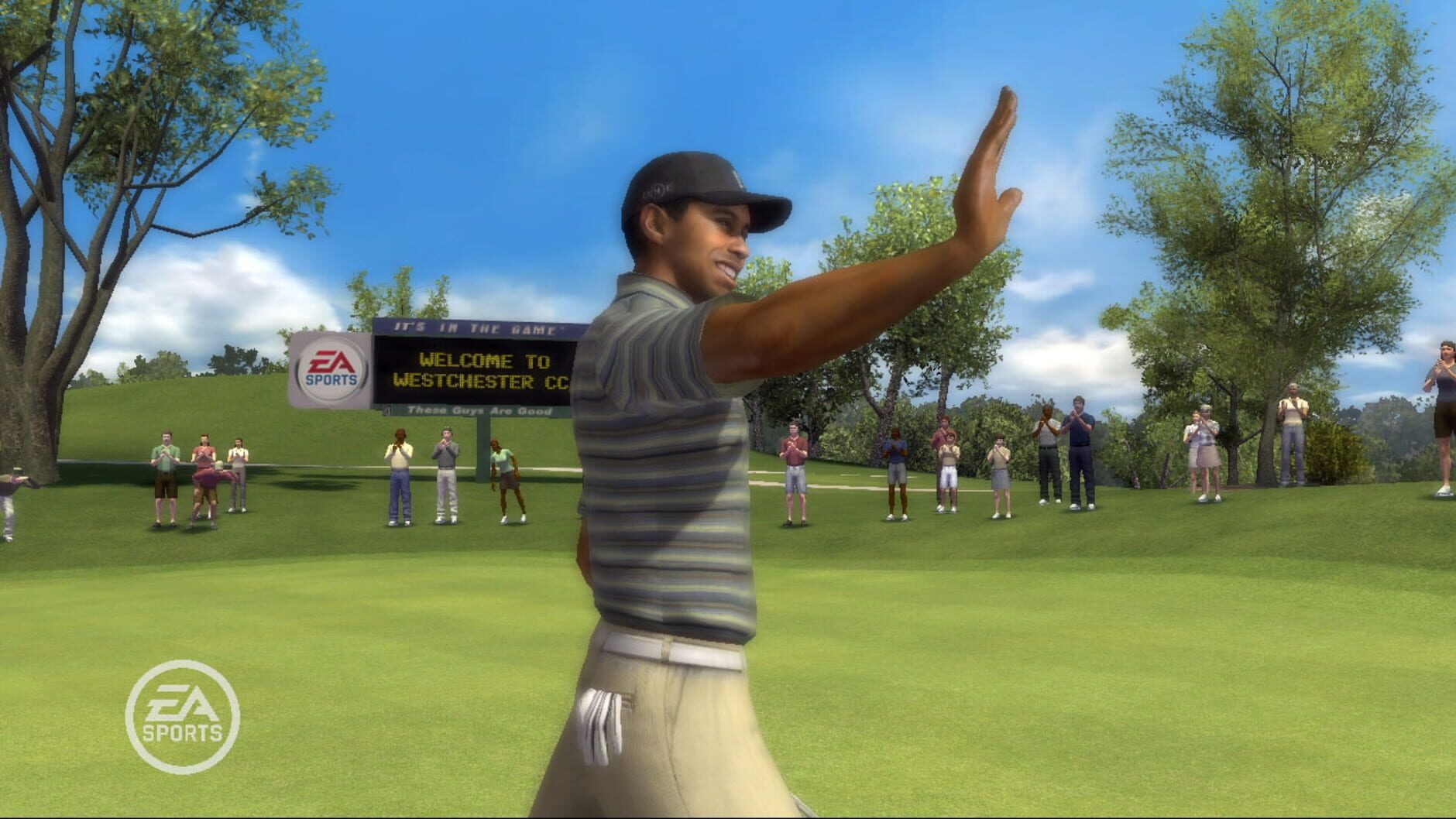 Screenshot for Tiger Woods PGA Tour 08
