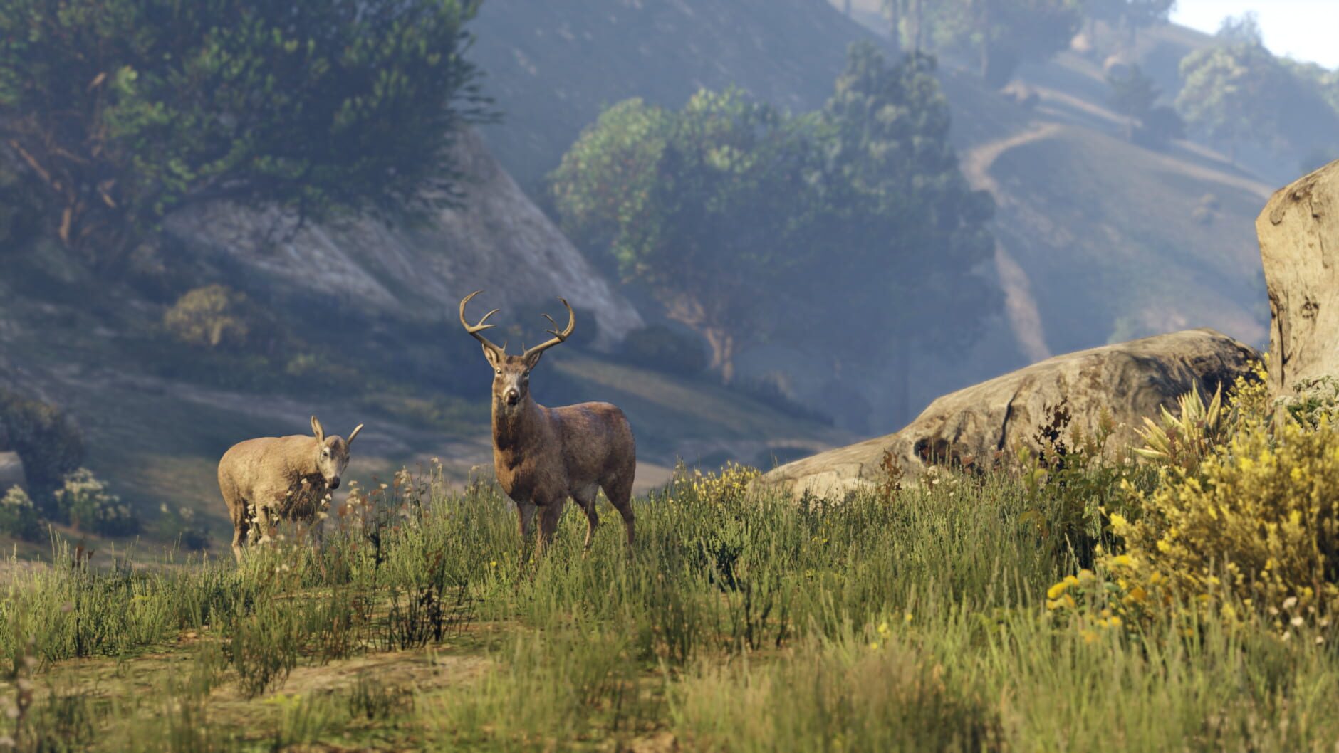 Screenshot for Grand Theft Auto V: Premium Online Edition & Whale Shark Card Bundle