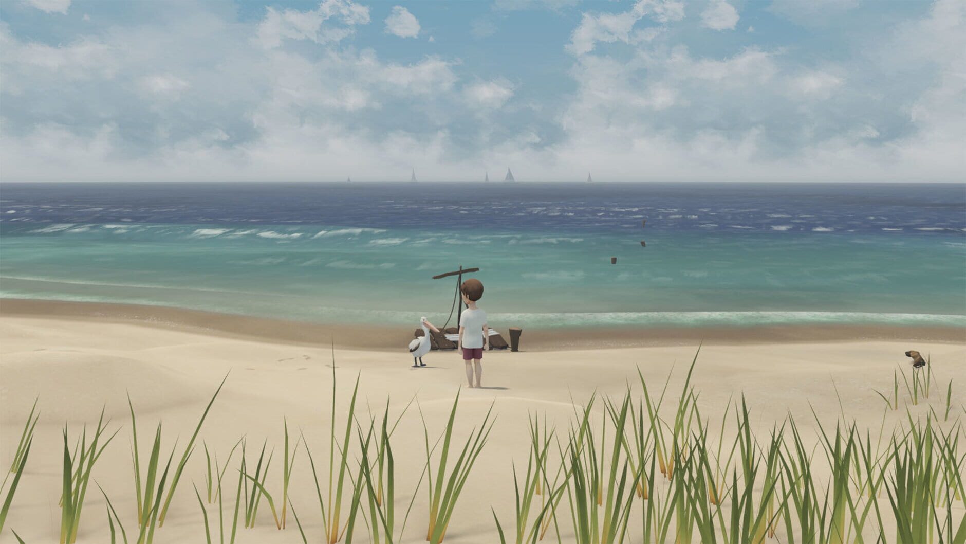 Screenshot for Storm Boy