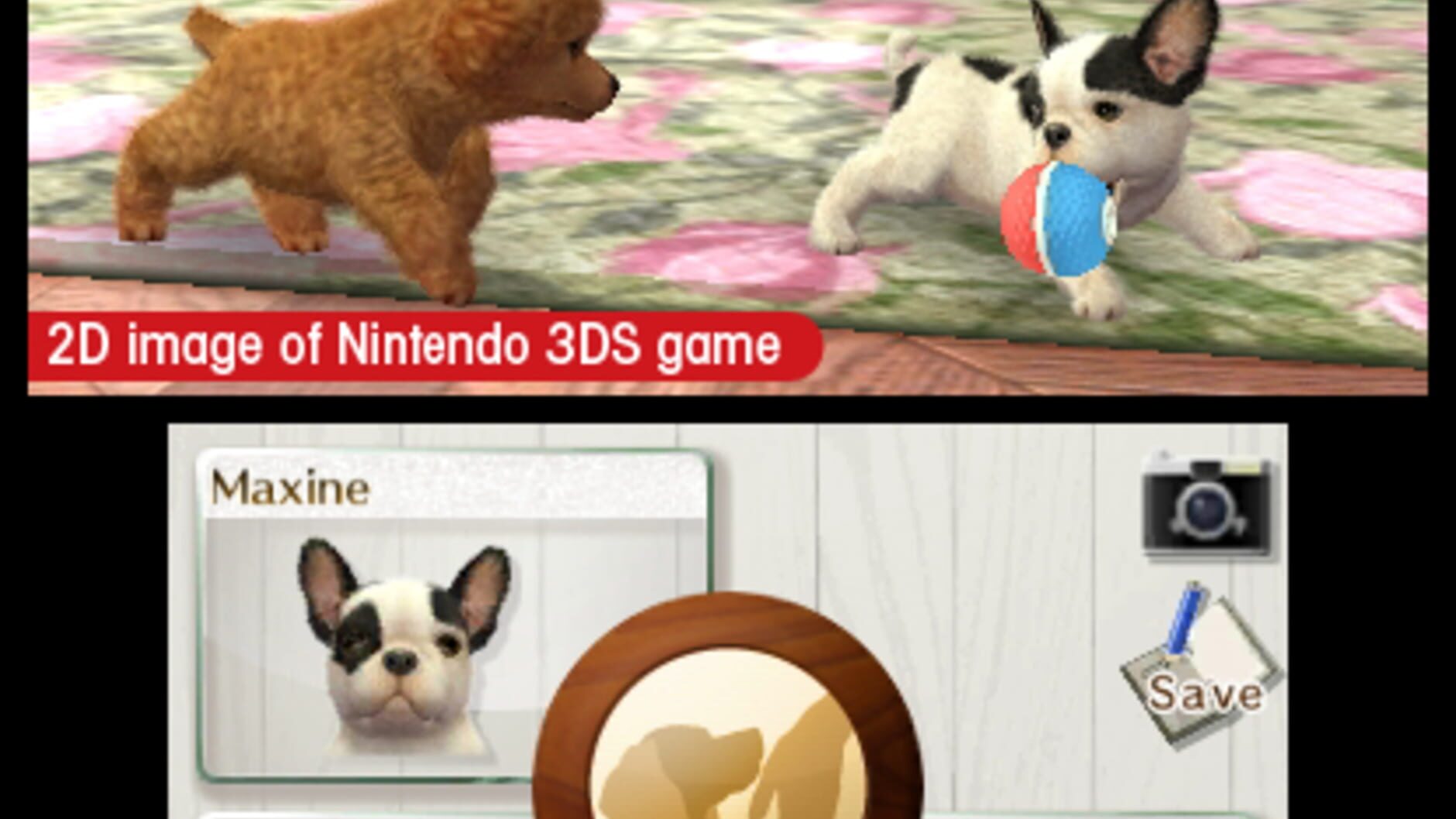 Screenshot for Nintendogs + Cats: French Bulldog & New Friends