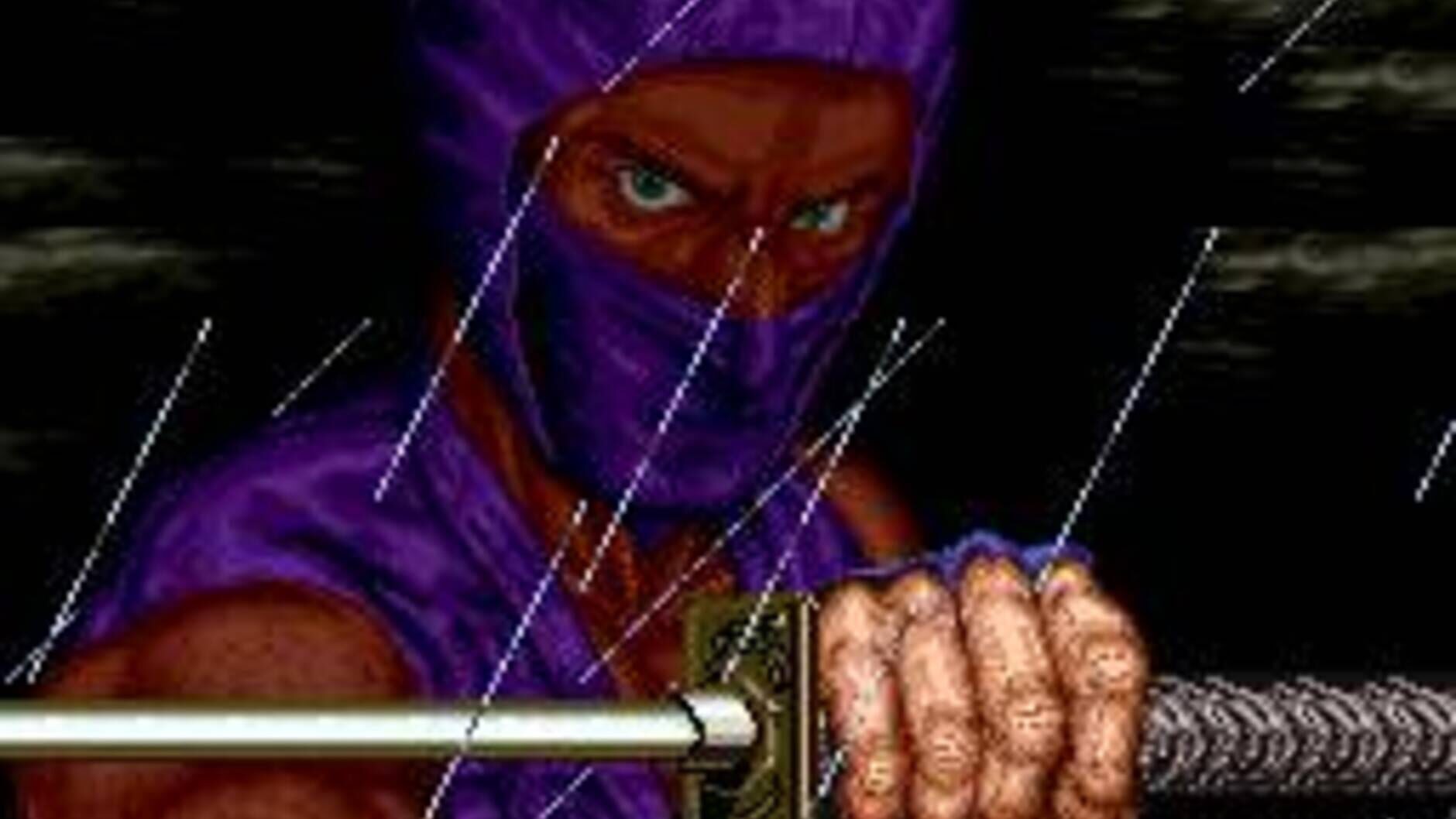Screenshot for Ninja Gaiden