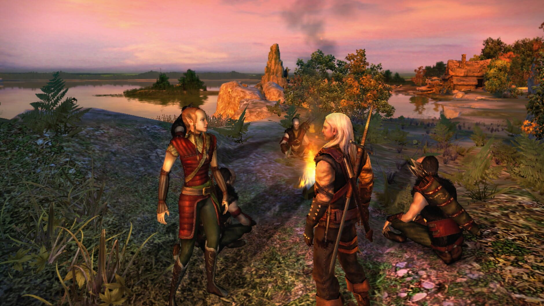 Screenshot for The Witcher: Enhanced Edition