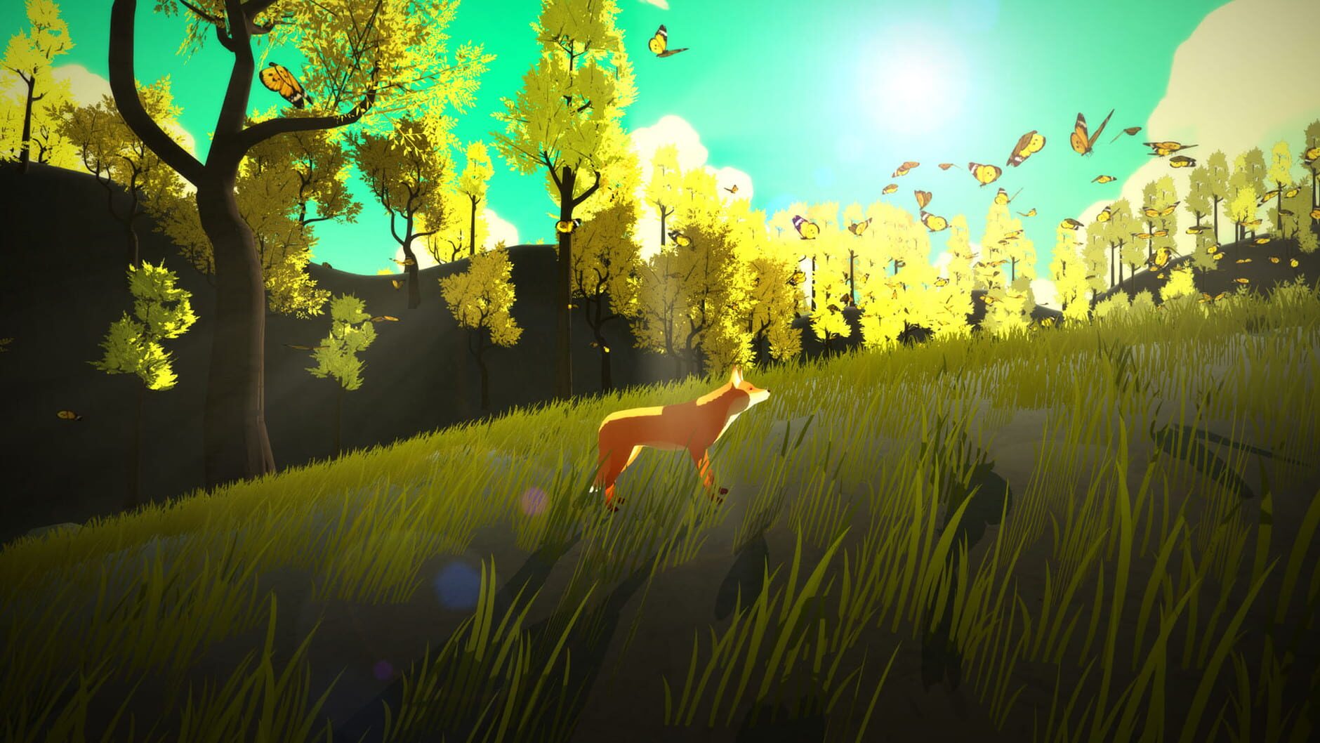 Screenshot for The First Tree