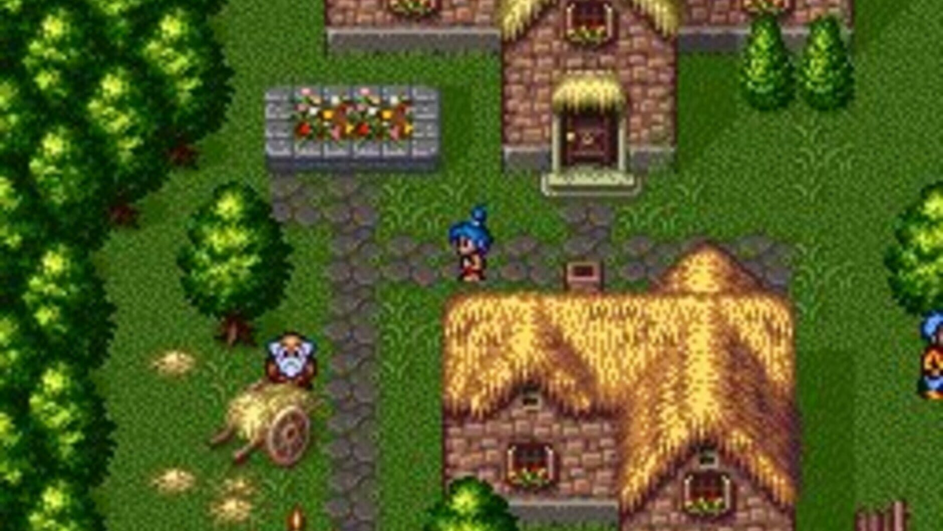 Screenshot for Breath of Fire II