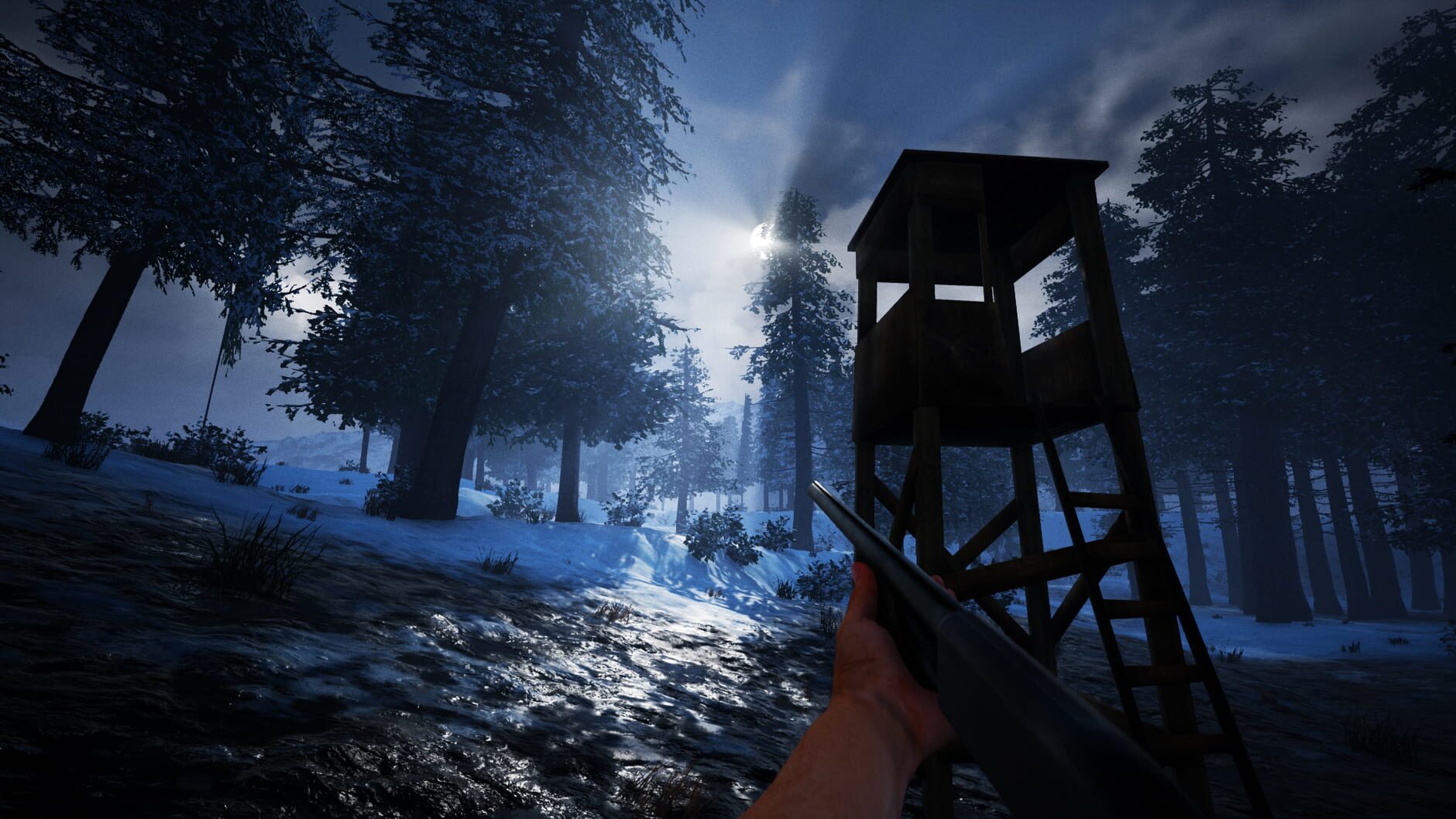 Screenshot for Alaskan Road Truckers