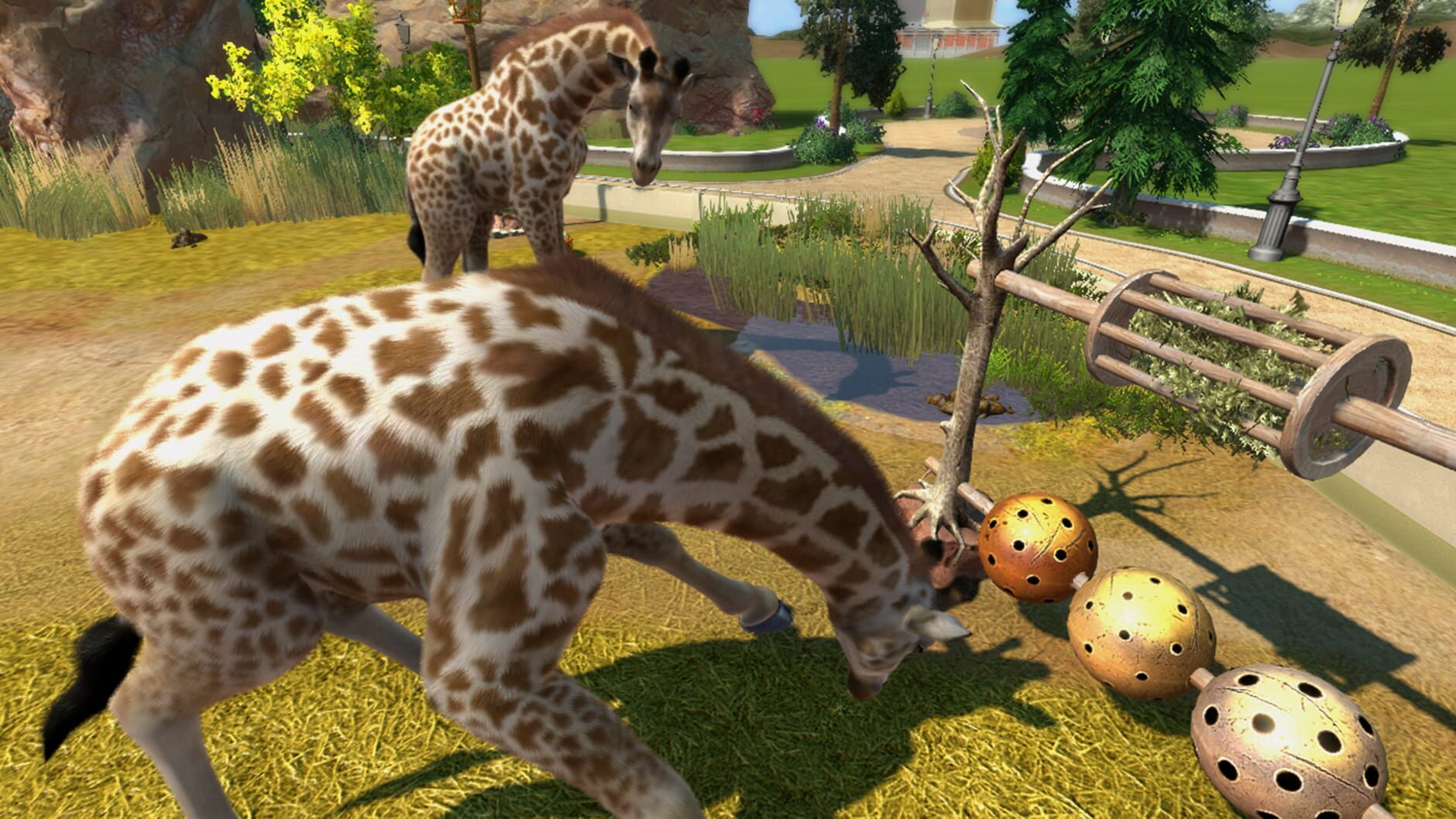 Screenshot for Zoo Tycoon