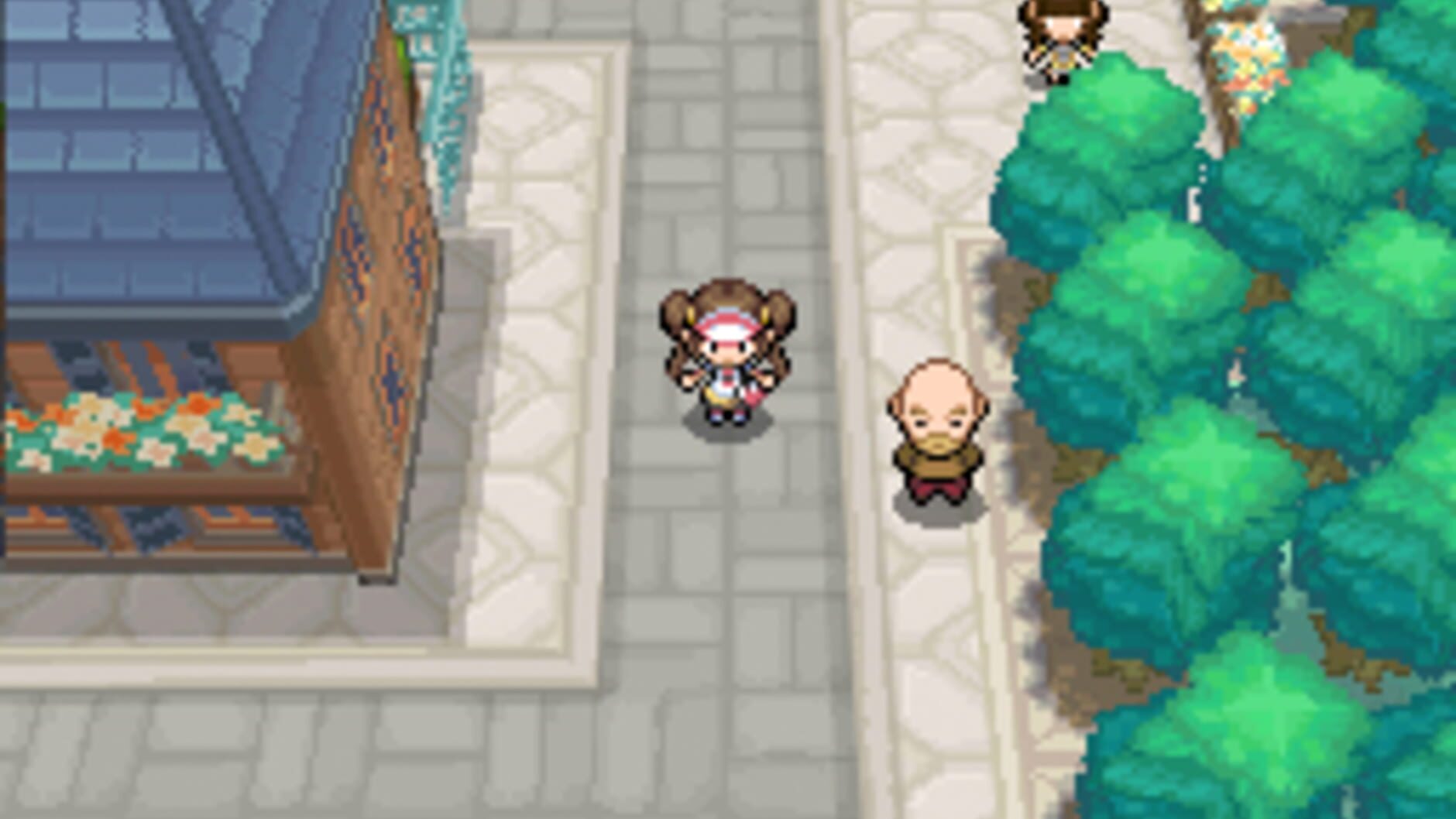 Screenshot for Pokémon Black Version 2
