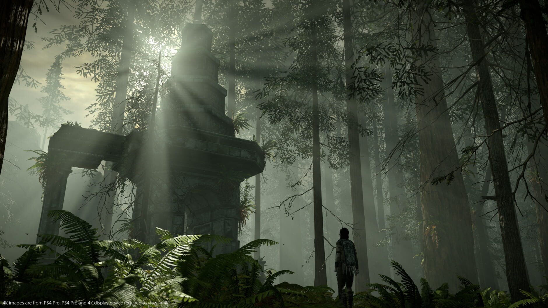 Screenshot for Shadow of the Colossus