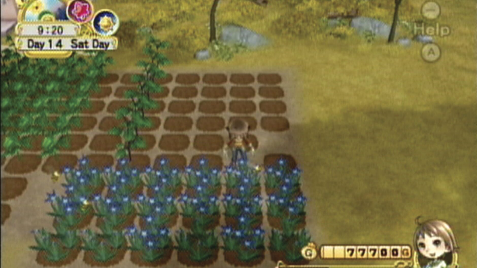 Screenshot for Harvest Moon: Tree of Tranquility