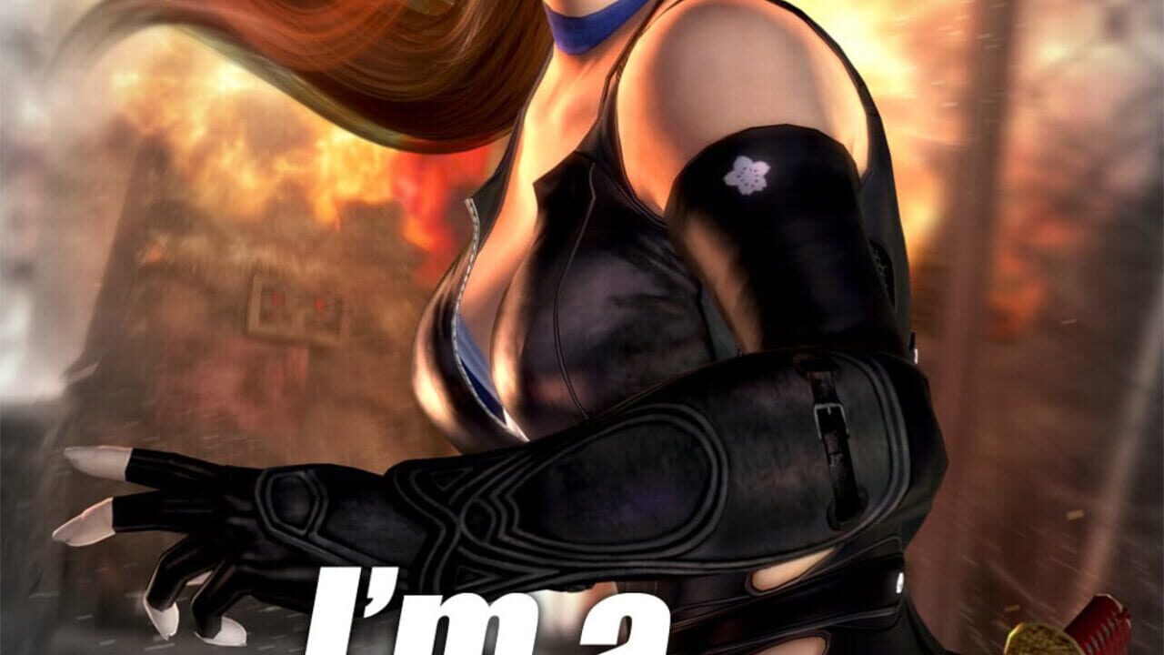 Dead or Alive 5 Image