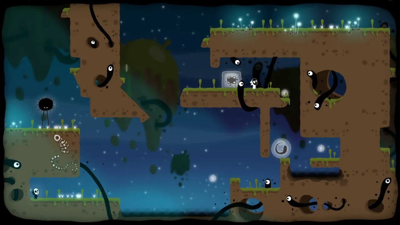 Ecotone banner