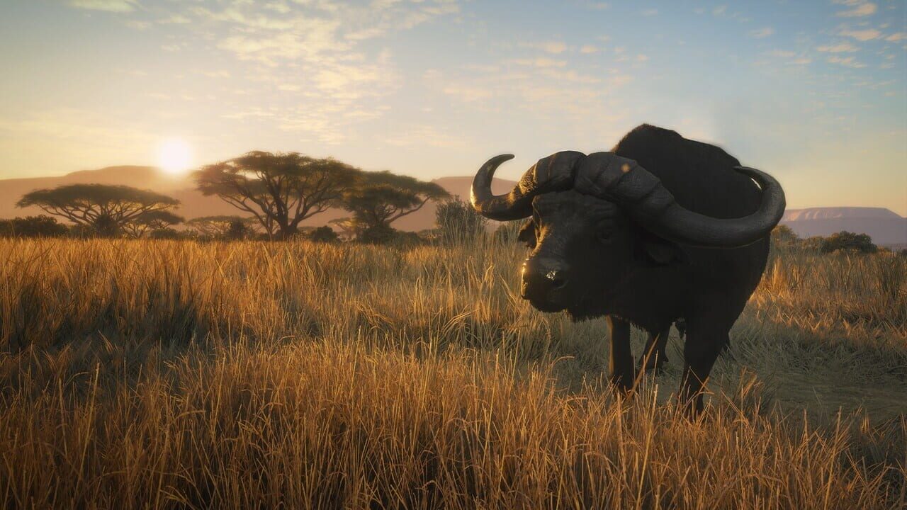 TheHunter: Call of the Wild - Vurhonga Savanna Image