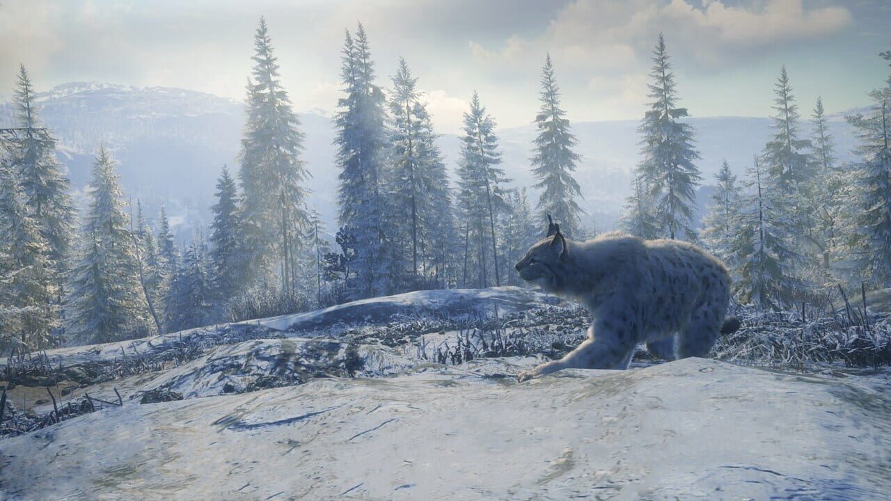 TheHunter: Call of the Wild - Medved-Taiga Image