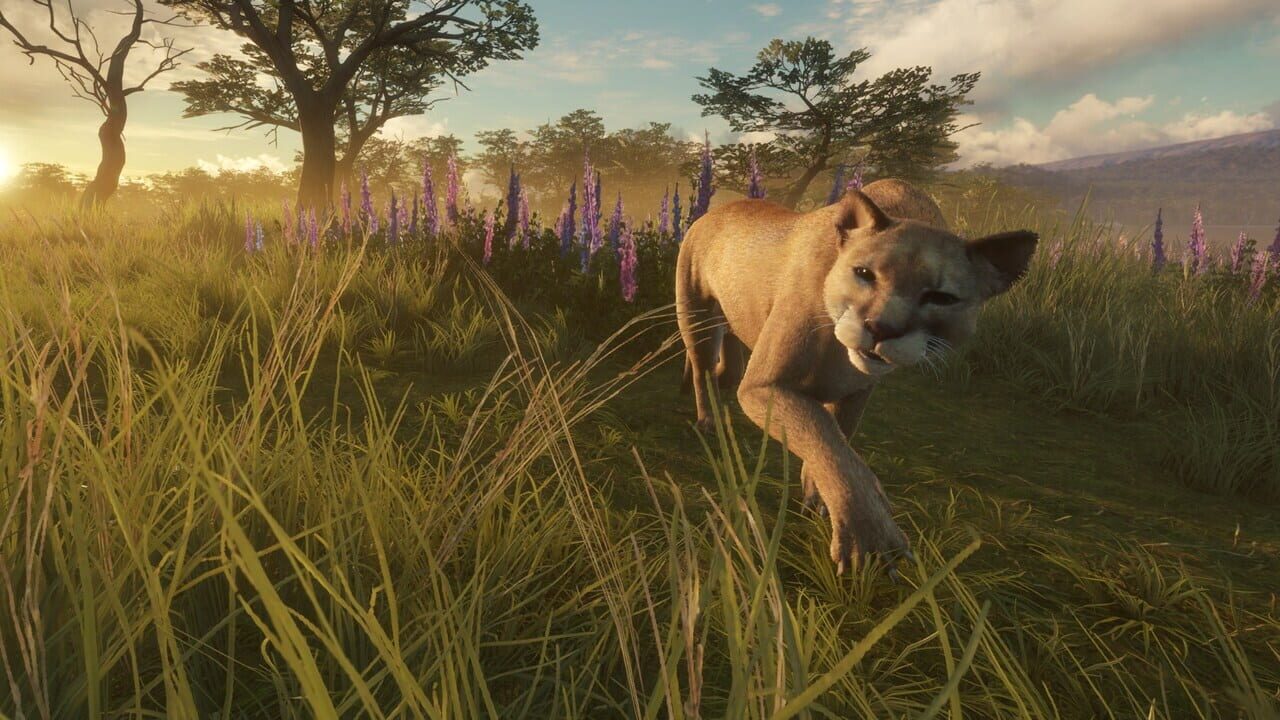 TheHunter: Call of the Wild - Parque Fernando Image