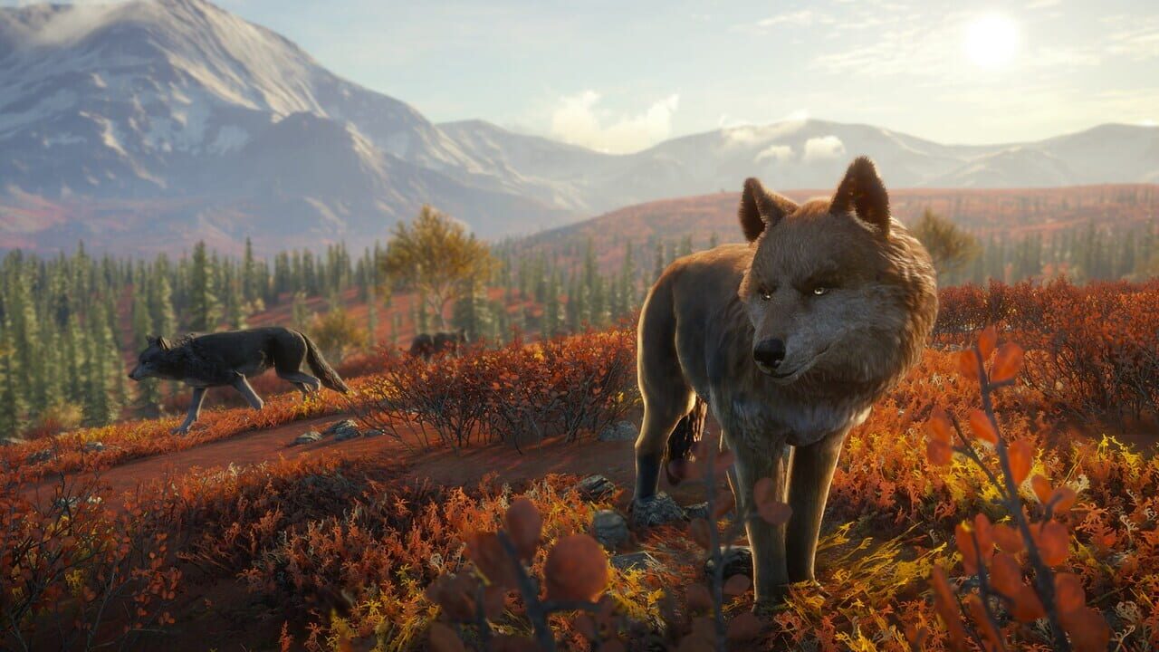 TheHunter: Call of the Wild - Yukon Valley Image