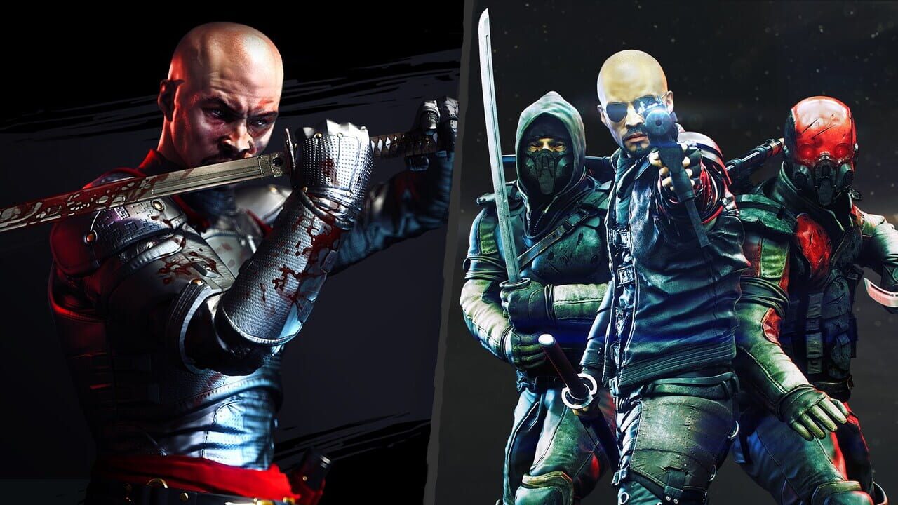 Shadow Warrior Collection Image