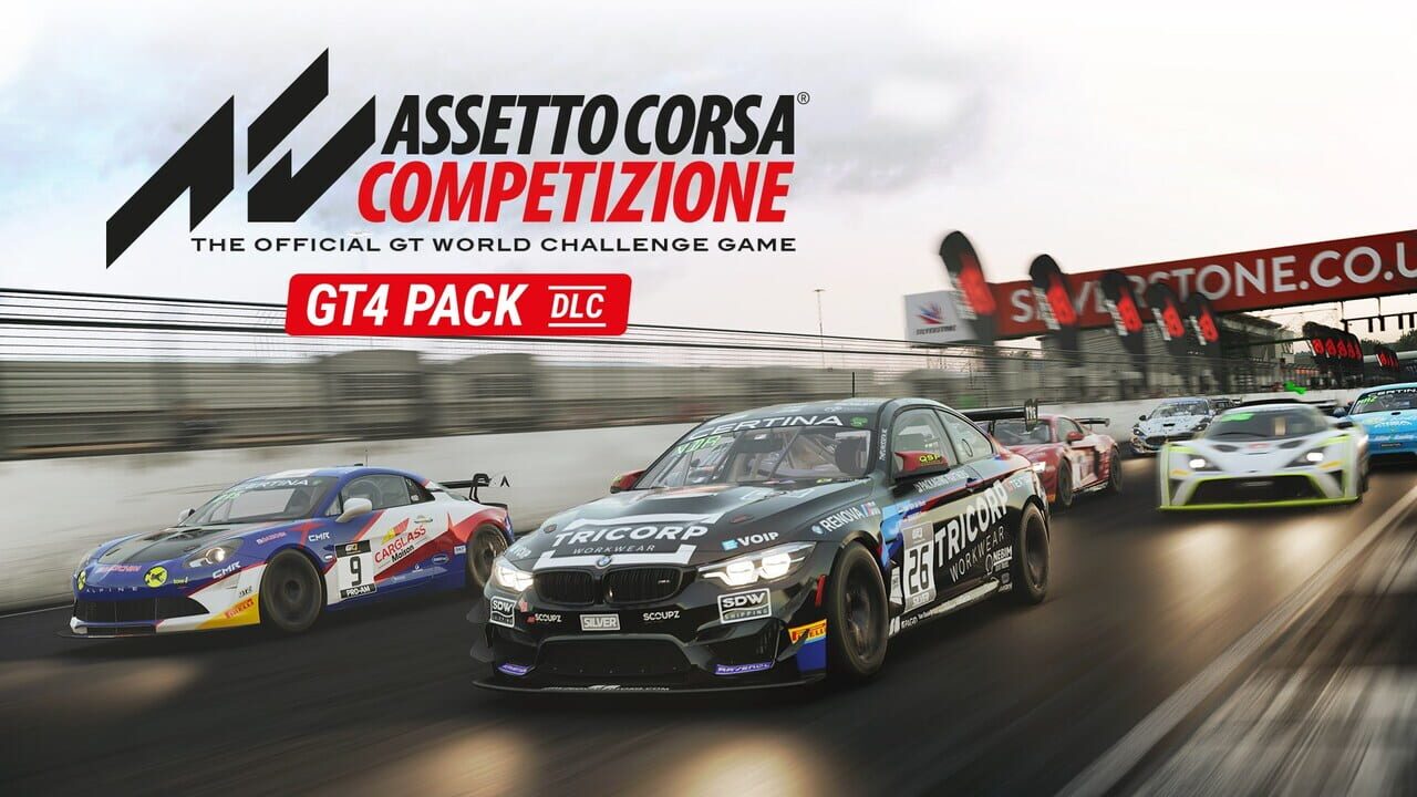 Assetto Corsa Competizione: GT4 Pack DLC Image