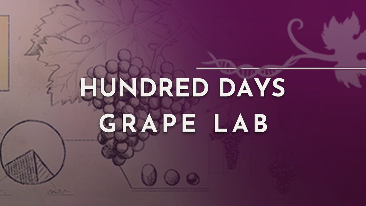 Hundred Days: Grape Lab Image