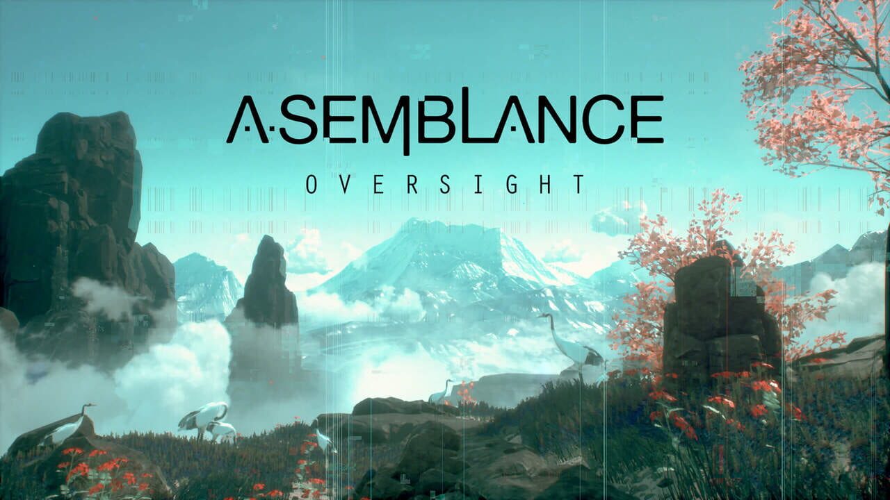 Asemblance: Oversight Image