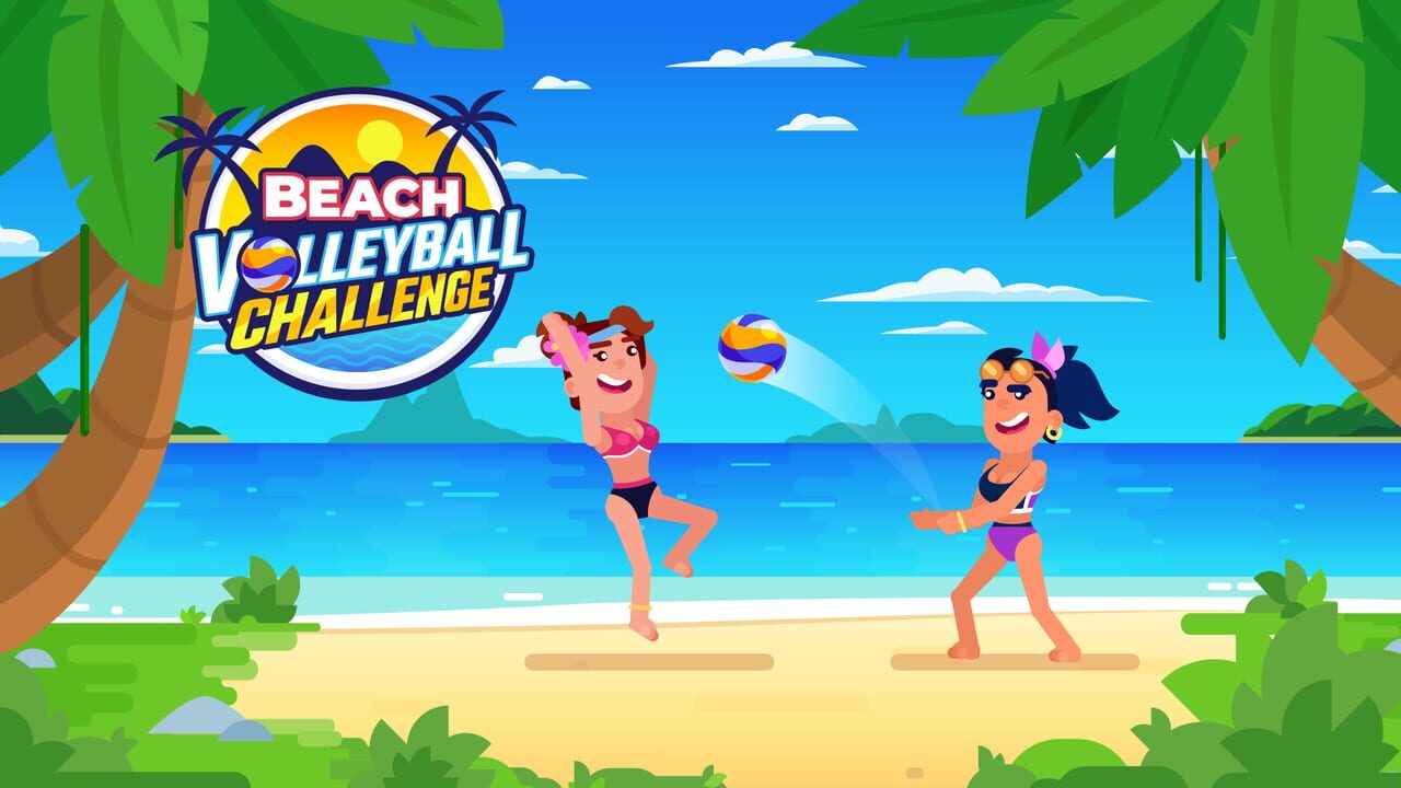 Beach Volleyball Challenge Image