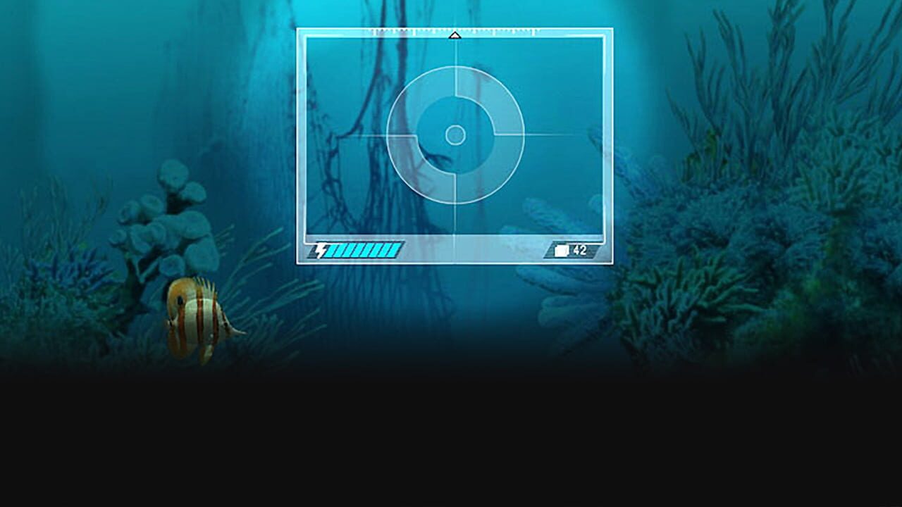 Caribbean Sea Fishes Image