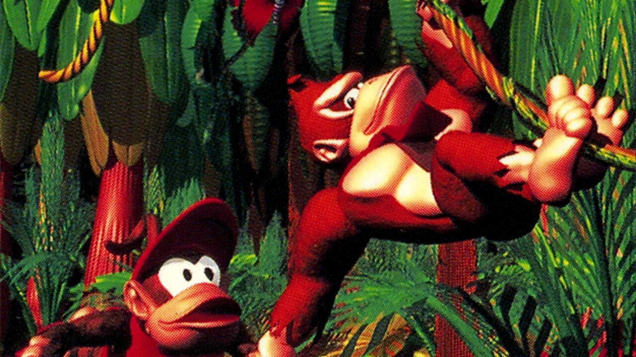 Donkey Kong Country Image