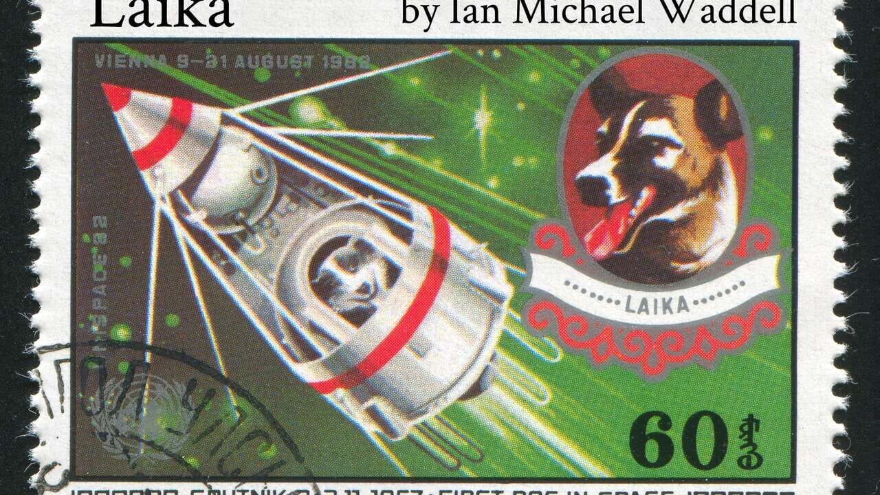 Laika Image