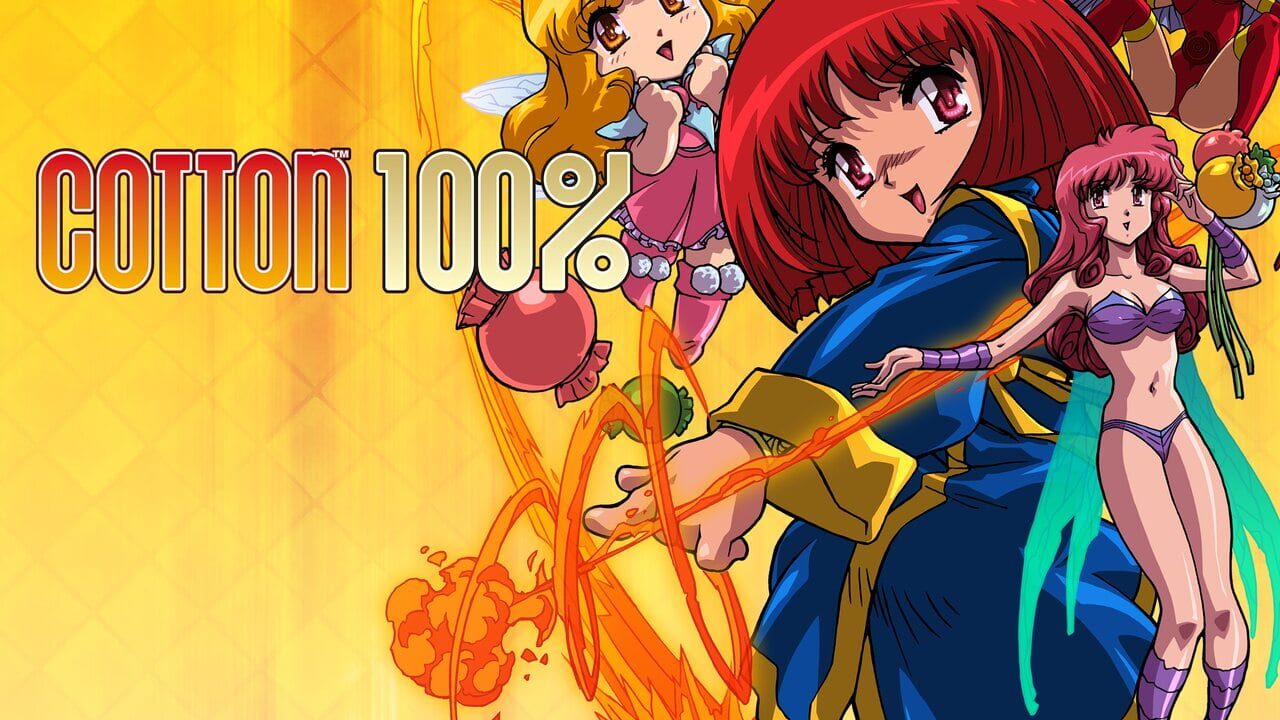 Cotton 100% Image