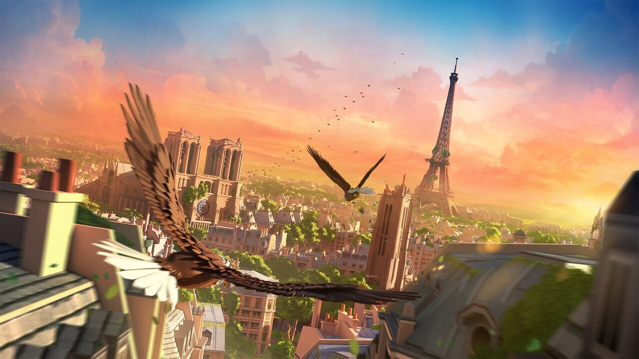 Eagle Flight Image