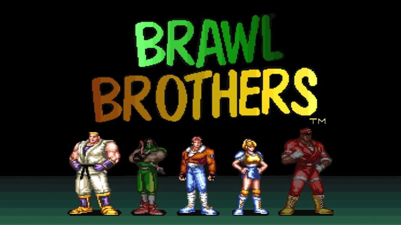 Brawl Brothers Image