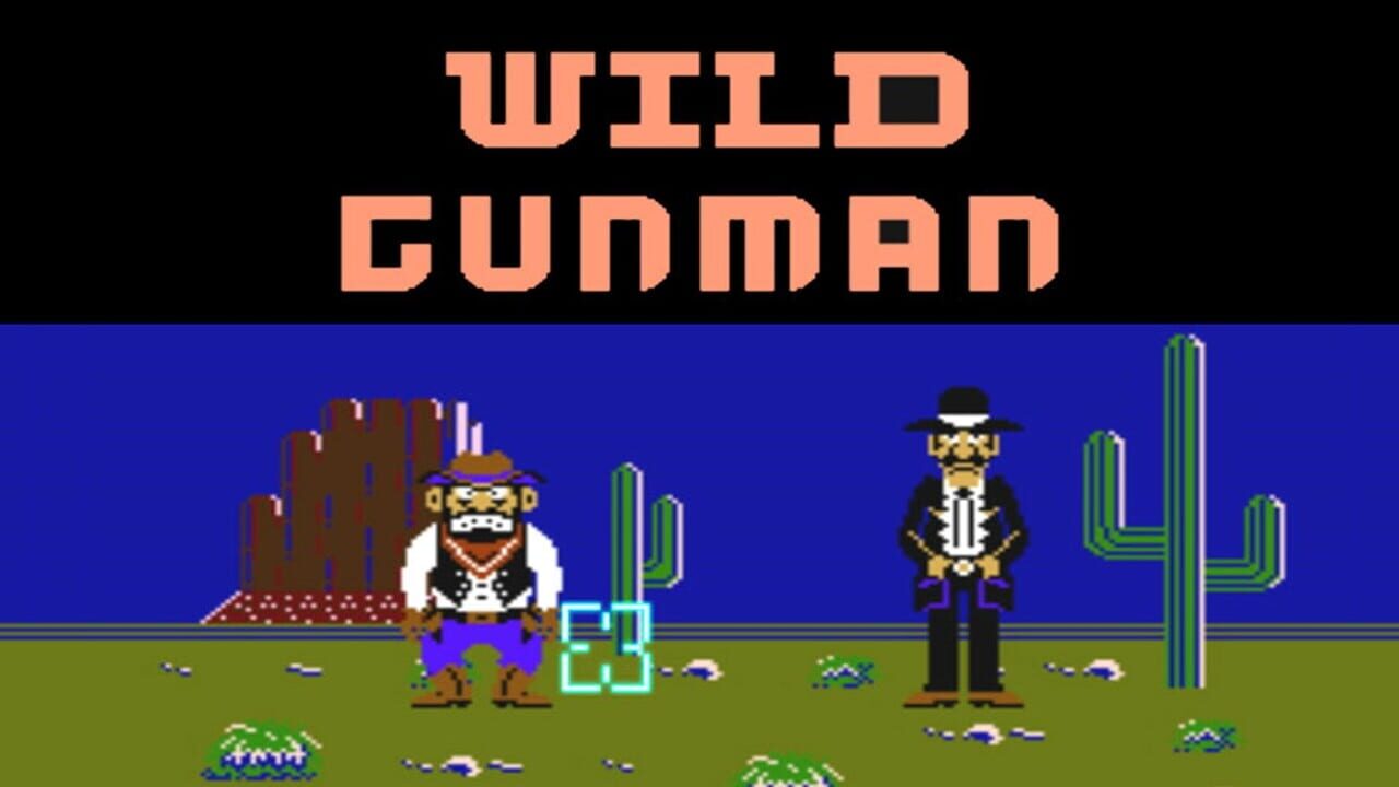 Wild Gunman Image