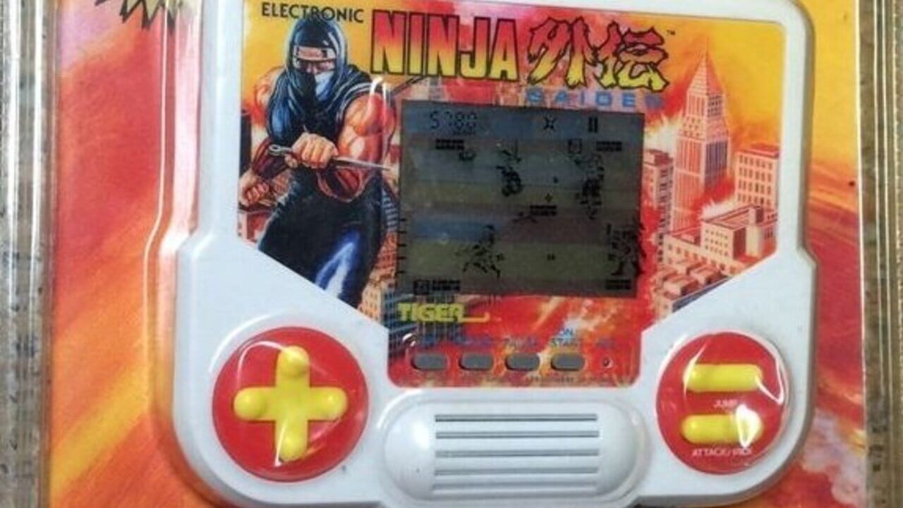 Ninja Gaiden Image