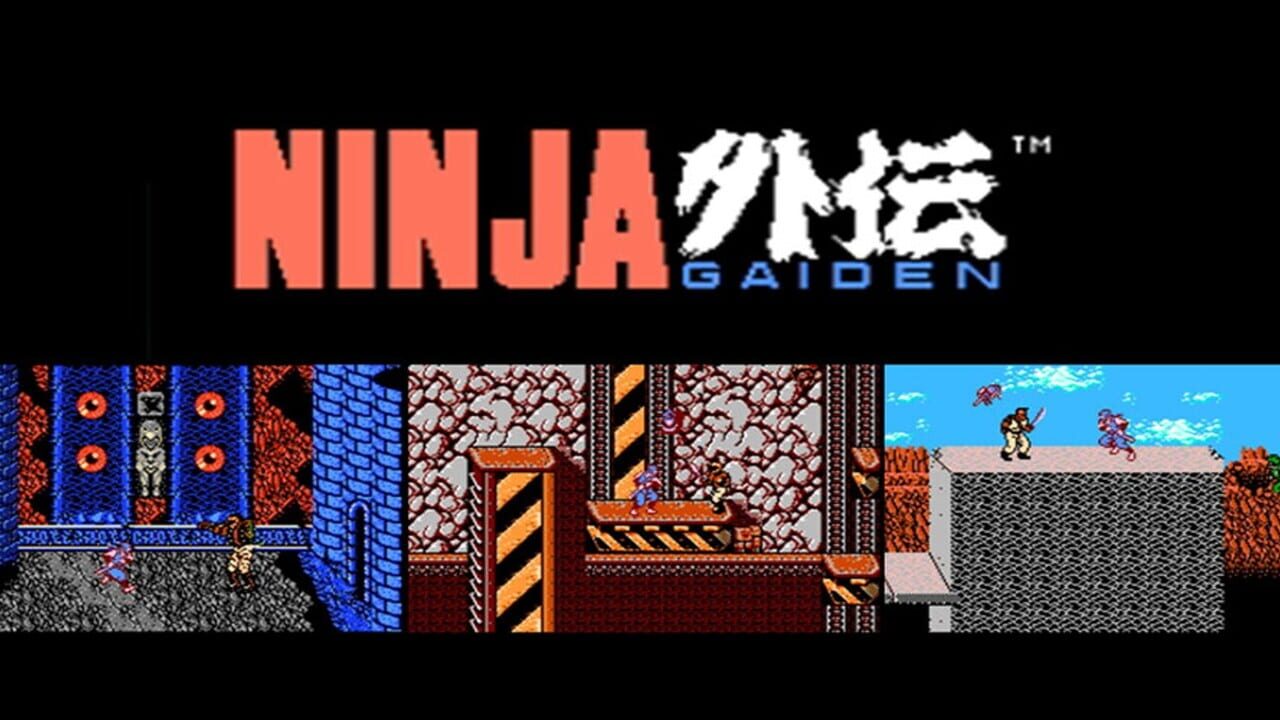 Ninja Gaiden Image