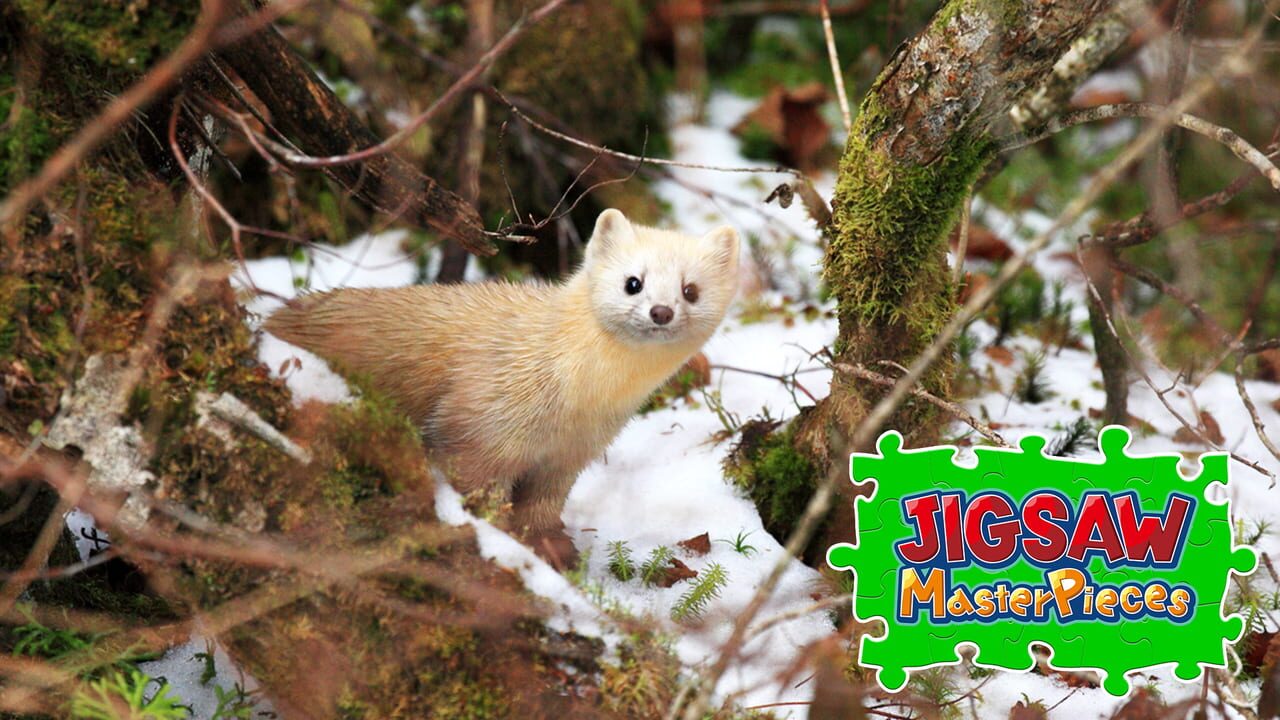 Jigsaw Masterpieces: Animals in Snow Image