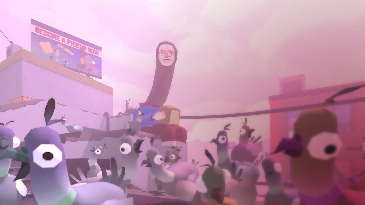 VR Pigeons Image