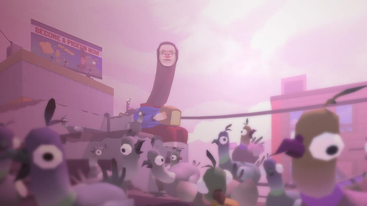 VR Pigeons Image
