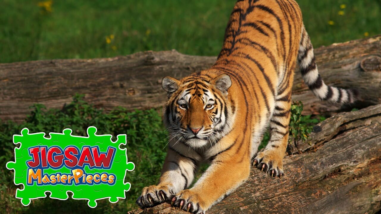 Jigsaw Masterpieces: Big Cat Friends Image