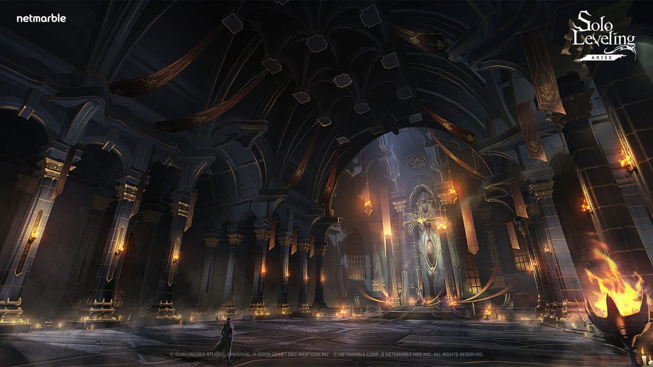 Solo Leveling: Arise Image