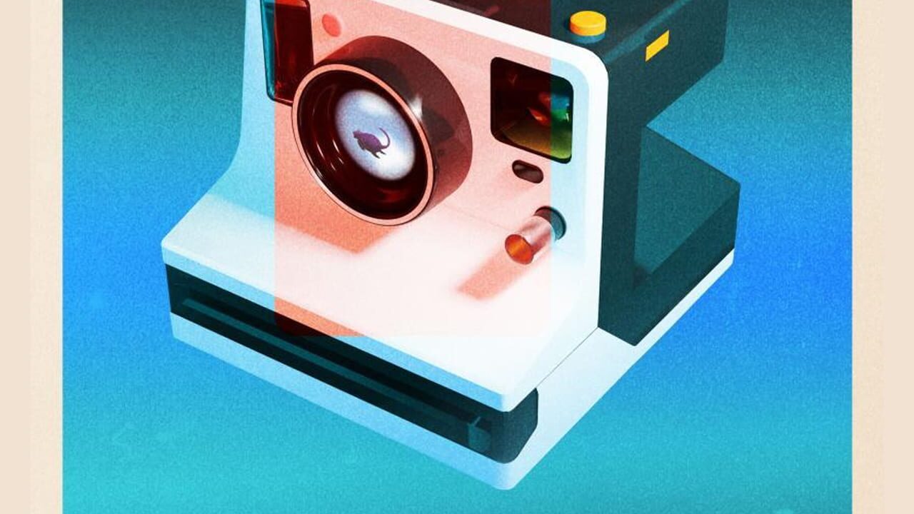 Viewfinder Image