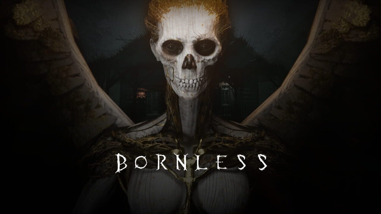 The Bornless artwork 1