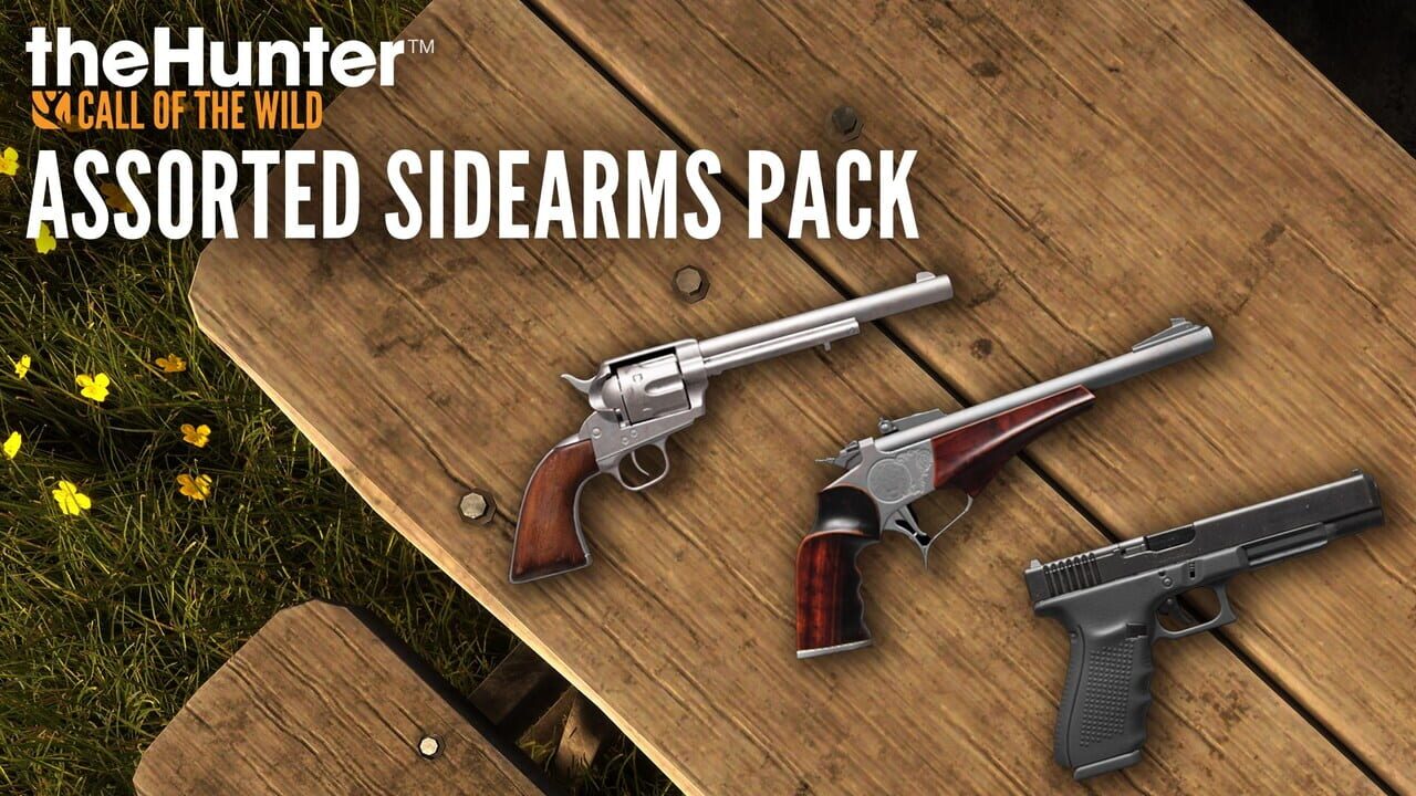 TheHunter: Call of the Wild - Assorted Sidearms Pack Image