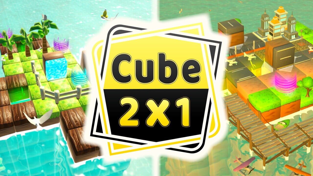 Cube 2x1 Image
