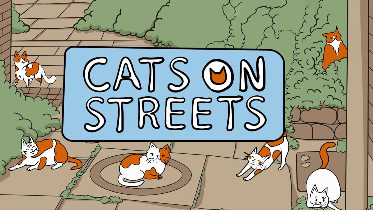 Cats on Streets Image