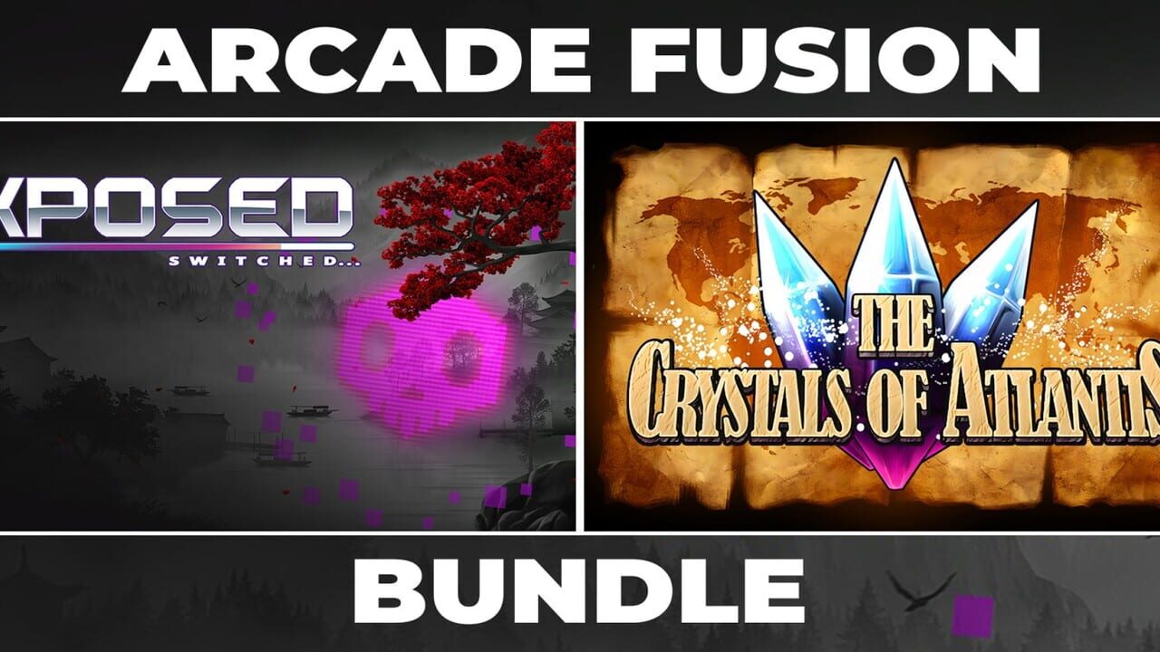 Arcade Fusion Bundle Image
