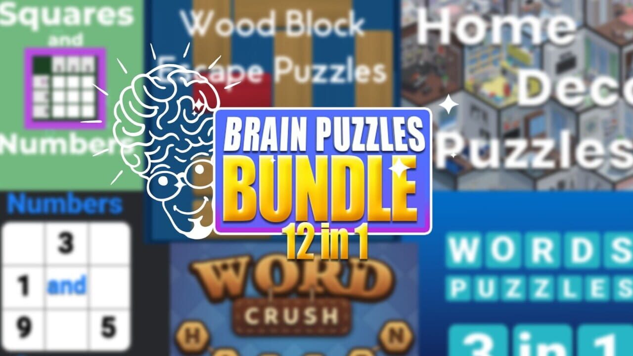 Brain Puzzles Bundle 12 in 1 Image